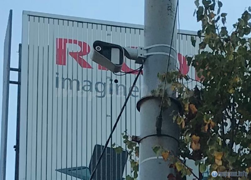 Кречет на столбе