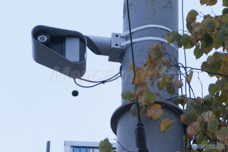 &nbsp; &nbsp; &nbsp; Дата съёмки: 04.10.2017г.