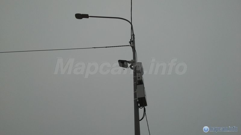 Кречет на столбе